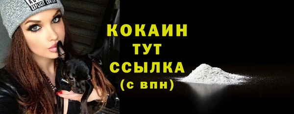 молекула духа Зеленодольск