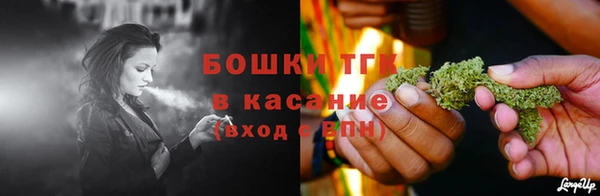 молекула духа Зеленодольск