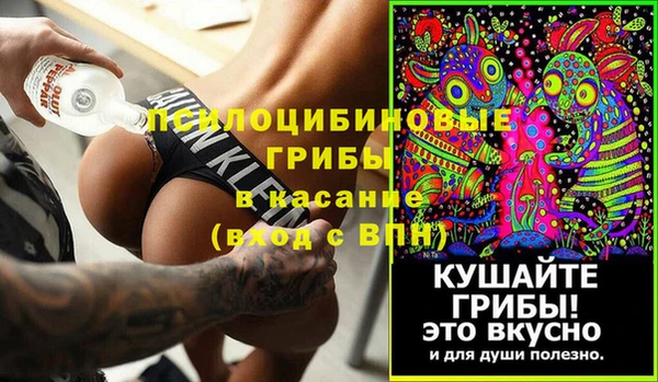 молекула духа Зеленодольск