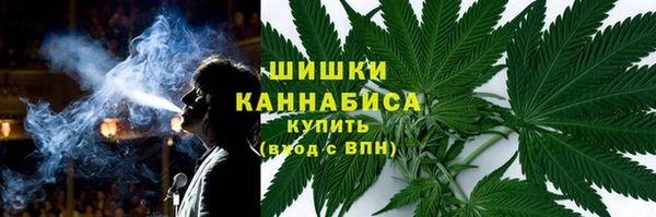 молекула духа Зеленодольск