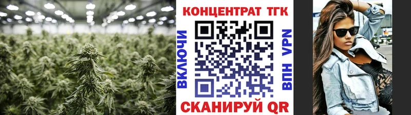 Купить закладки  Щёкино  ТГК жижа 